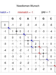 Photo of Needleman–Wunsch algorithm