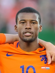 Photo of Georginio Wijnaldum