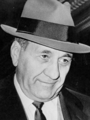 Photo of Tony Accardo