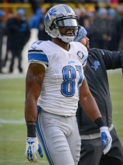 Photo of Calvin Johnson