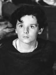 Photo of Freddie Bartholomew