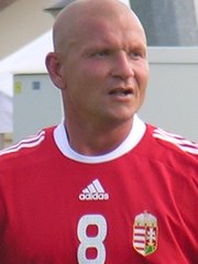 Photo of Miklós Lendvai