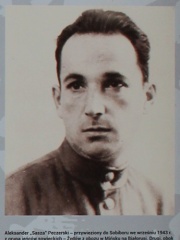 Photo of Alexander Pechersky