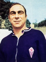 Photo of Bruno Pesaola