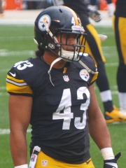 Photo of Troy Polamalu