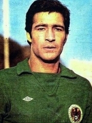 Photo of Nasser Hejazi