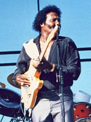 Photo of Albert Collins