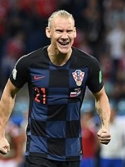 Photo of Domagoj Vida