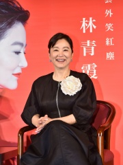 Photo of Brigitte Lin