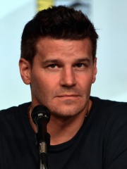 Photo of David Boreanaz