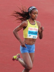 Photo of Genzebe Dibaba