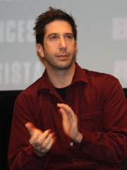 Photo of David Schwimmer