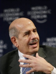 Photo of Mohamed ElBaradei