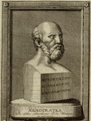 Photo of Xenocrates