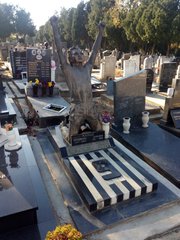 Photo of Dragan Mance