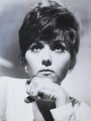 Photo of Brenda Vaccaro