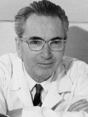 Photo of Viktor Frankl