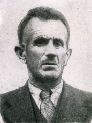 Photo of Muhamed Mehmedbašić