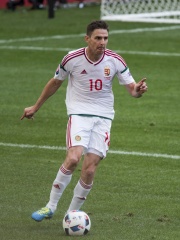 Photo of Zoltán Gera