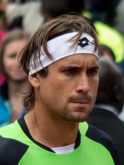 Photo of David Ferrer