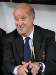 Photo of Vicente del Bosque