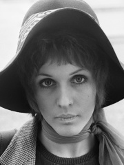 Photo of Julie Driscoll Tippetts