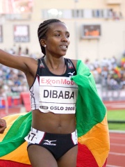 Photo of Tirunesh Dibaba