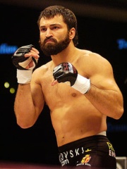 Photo of Andrei Arlovski