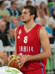 Photo of Nemanja Bjelica