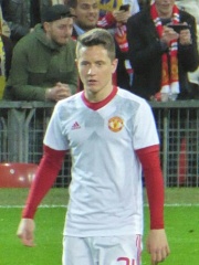 Photo of Ander Herrera