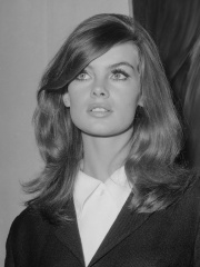 Photo of Jean Shrimpton