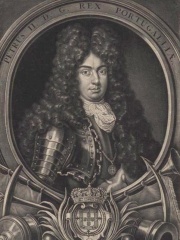 Photo of Peter II of Portugal