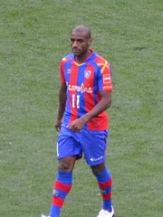 Photo of Muriqui