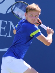 Photo of David Goffin