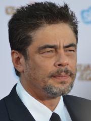 Photo of Benicio del Toro