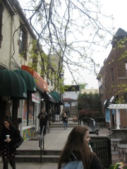 Photo of Murder of Kitty Genovese