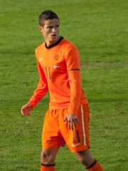 Photo of Ibrahim Afellay