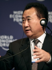 Photo of Wang Jianlin