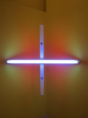 Photo of Dan Flavin