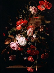 Photo of Willem van Aelst