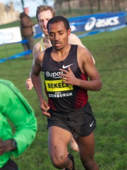 Photo of Kenenisa Bekele