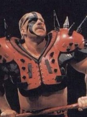 Photo of Road Warrior Hawk