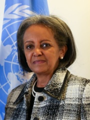 Photo of Sahle-Work Zewde