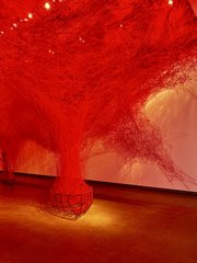 Photo of Chiharu Shiota