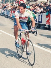 Photo of Stephen Roche