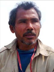 Photo of Jadav Payeng