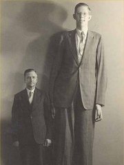 Photo of Robert Wadlow