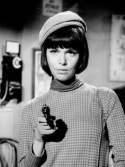 Photo of Barbara Feldon