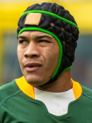 Photo of Cheslin Kolbe