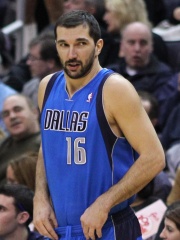 Photo of Peja Stojaković